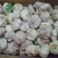 2018 new crop china origin Chinese garlic Normal White Garlic fresh garlic